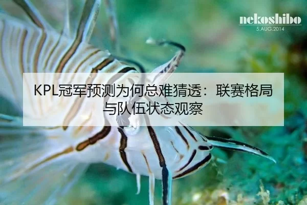KPL冠军预测为何总难猜透：联赛格局与队伍状态观察